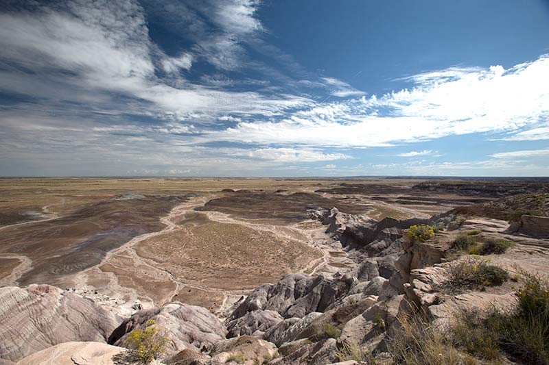 Petrified Moonscape